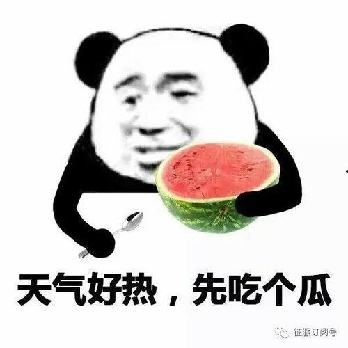 娱乐吃瓜酱管好自己吧,娱乐吃瓜酱的自律之路 第2张 娱乐吃瓜酱管好自己吧,娱乐吃瓜酱的自律之路 第2张