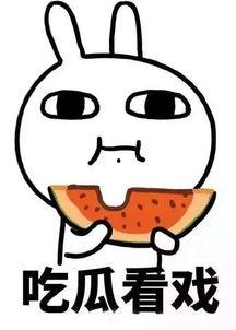 娱乐吃瓜酱问答,吃瓜酱问答大揭秘