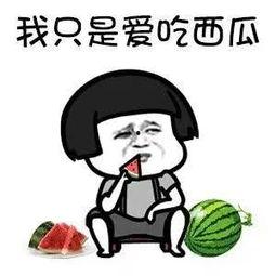 娱乐都是吃瓜,瓜田里的欢乐与秘密 第2张 娱乐都是吃瓜,瓜田里的欢乐与秘密 第2张