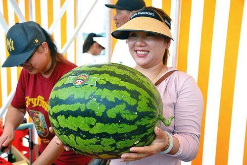 娱乐吃瓜区,揭秘明星幕后故事与精彩瞬间  第3张