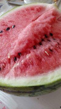 娱乐吃瓜酱做核酸的修勾,核酸检测背后的温馨瞬间  第3张