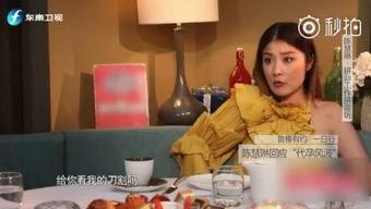 娱乐星扒客吃瓜君,揭秘娱乐圈背后的秘密与八卦  第2张