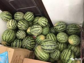 2021吃瓜群 第2张 2021吃瓜群 第2张