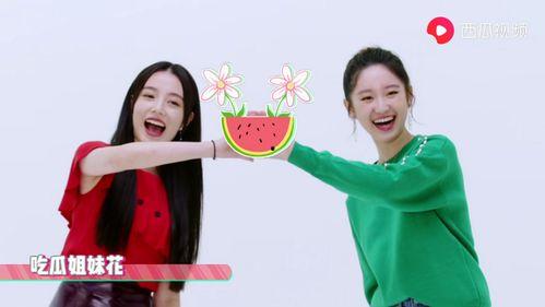 娱乐姐妹吃瓜,揭秘明星们的“吃瓜”日常  第2张