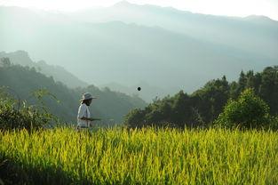 娱乐吃瓜酱拐进山里,拐进神秘山林探险记 第2张 娱乐吃瓜酱拐进山里,拐进神秘山林探险记 第2张