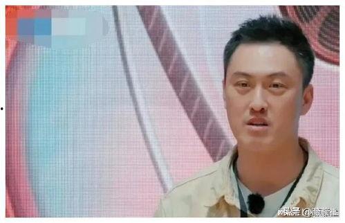 娱乐圈吃瓜爆料天王是谁,揭秘幕后真相